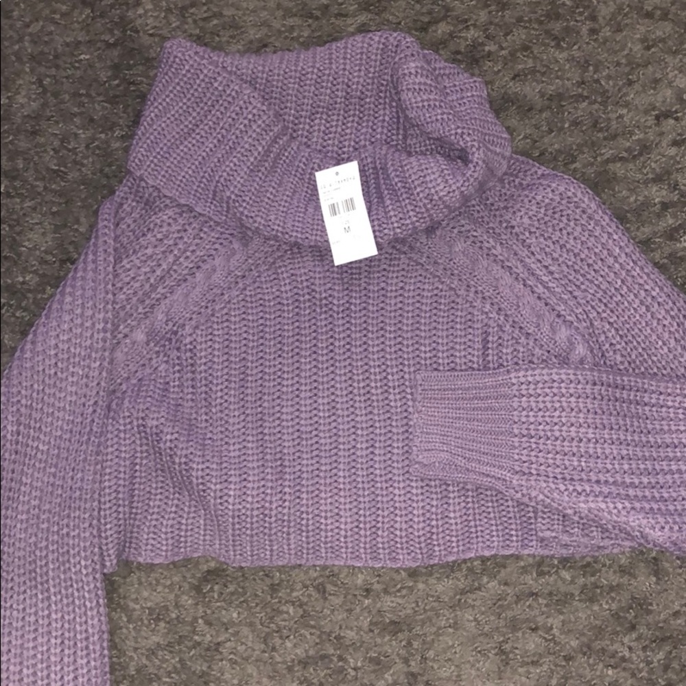 Cropped Turtleneck Sweater